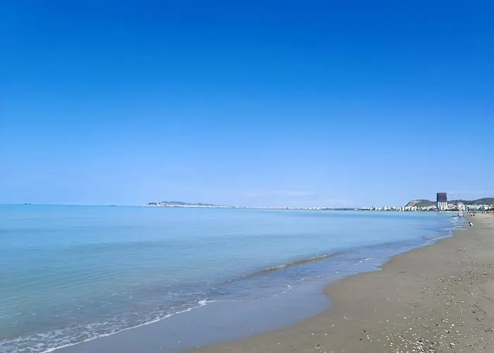 Julia's In Apartment